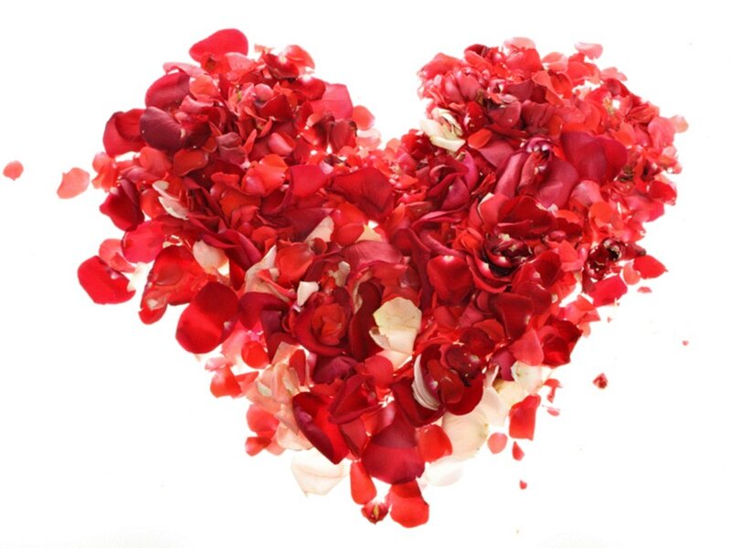 heart made of rose petals