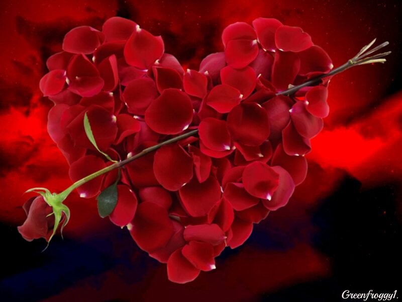 Heart Made of Rose Petals — Red, Dramatic
