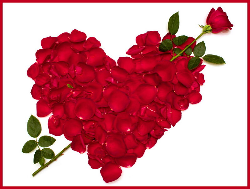 Heart Made of Rose Petals — Red, Romantic, Photograph