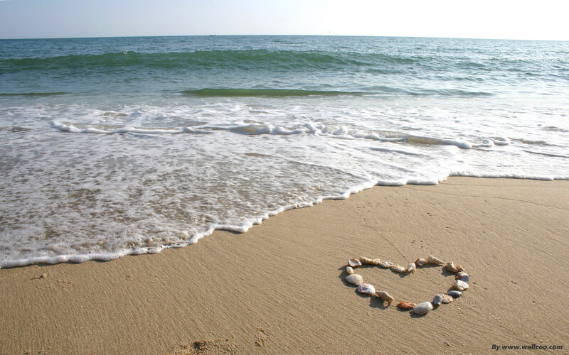 Heart Made of Seashells