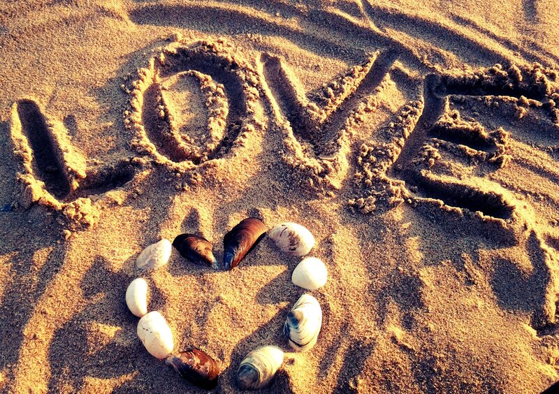 Heart Made of Shells — Brown