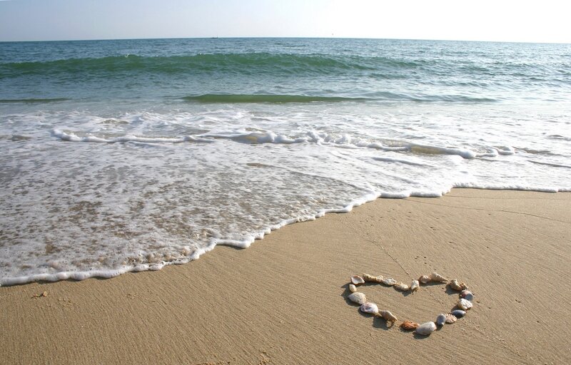 Heart Made of Shells