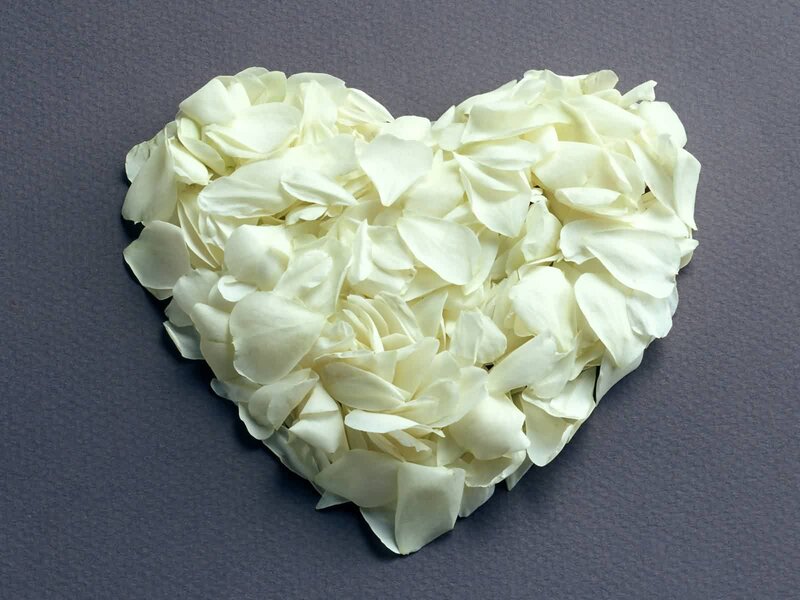 heart made of white petals
