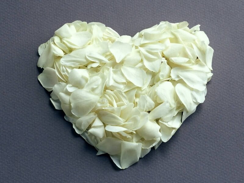 heart made of white petals