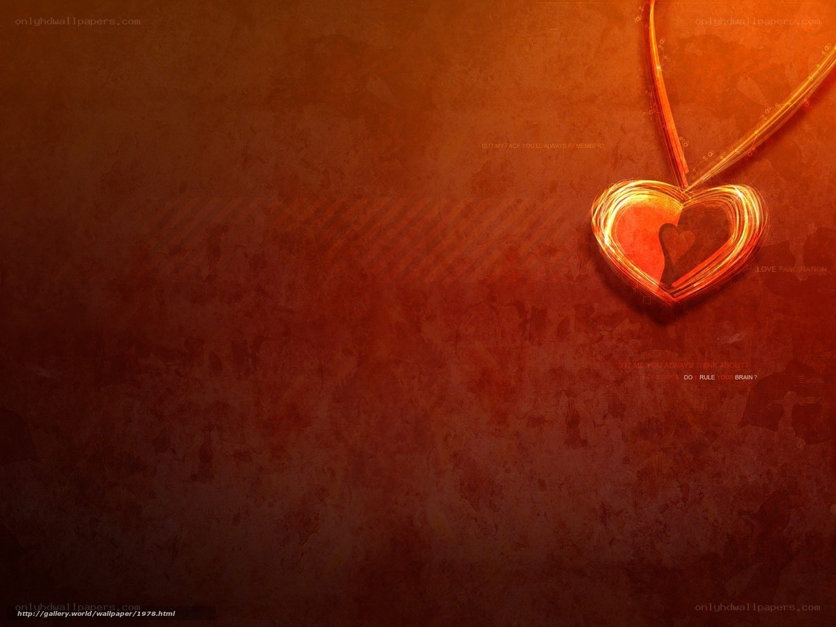heart necklace on warm background