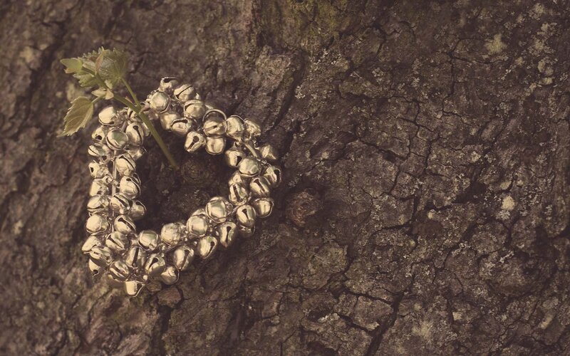 heart of bells on tree bark