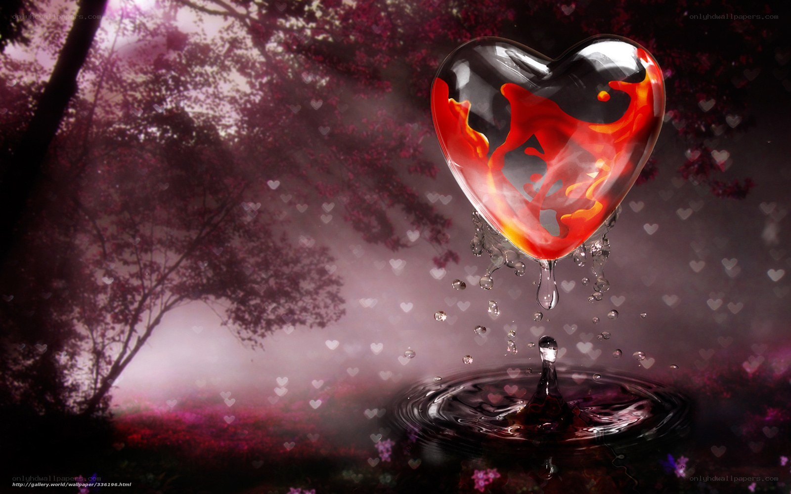 heart of fire and water