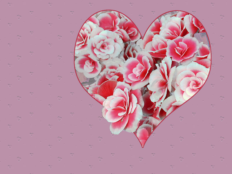 heart of pink flowers