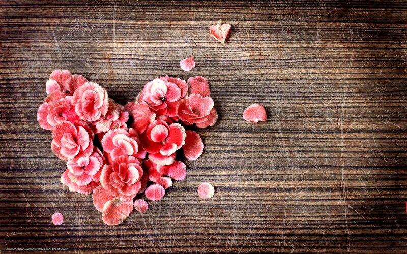 heart of pink flowers