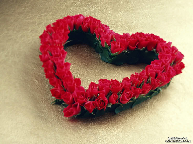 heart of red roses