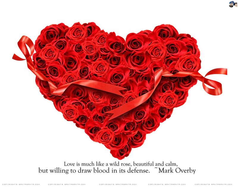 heart of red roses