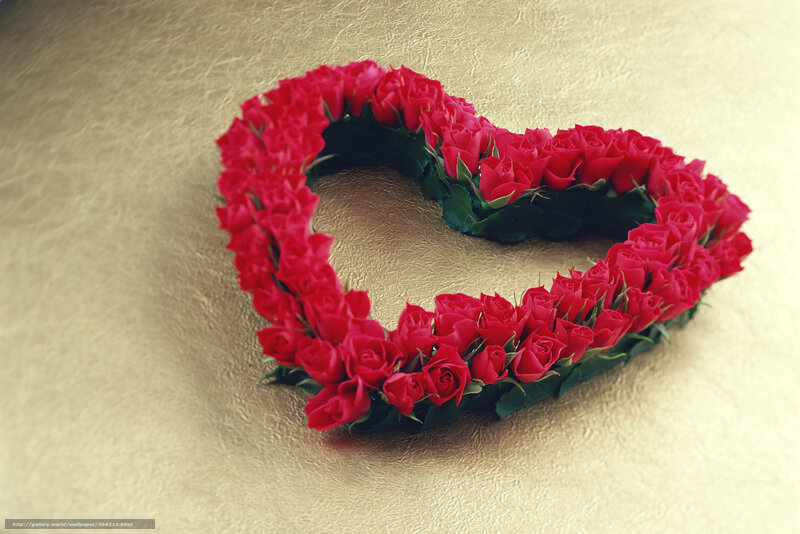 heart of red roses