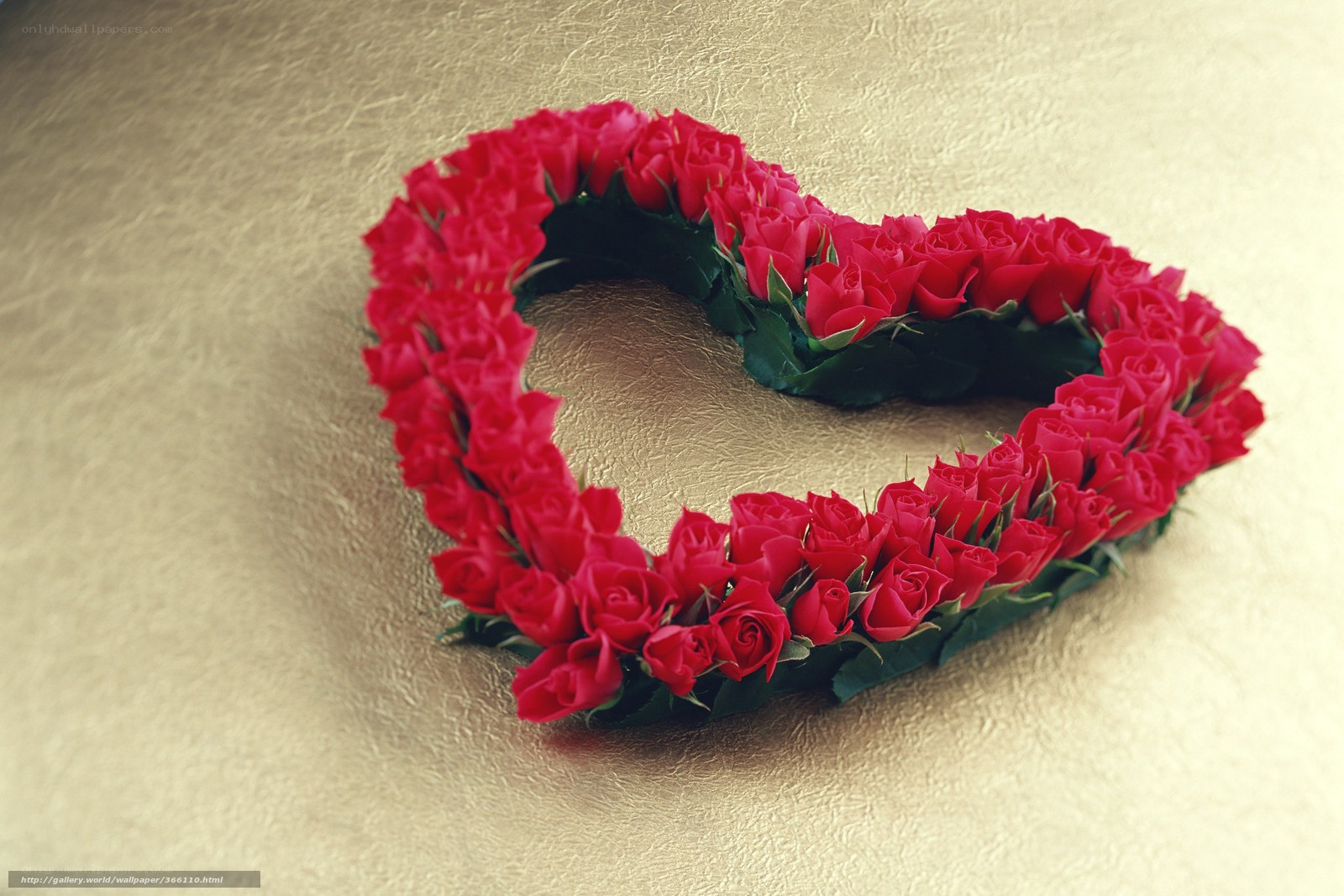 heart of red roses