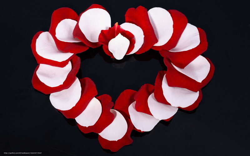 heart of rose petals