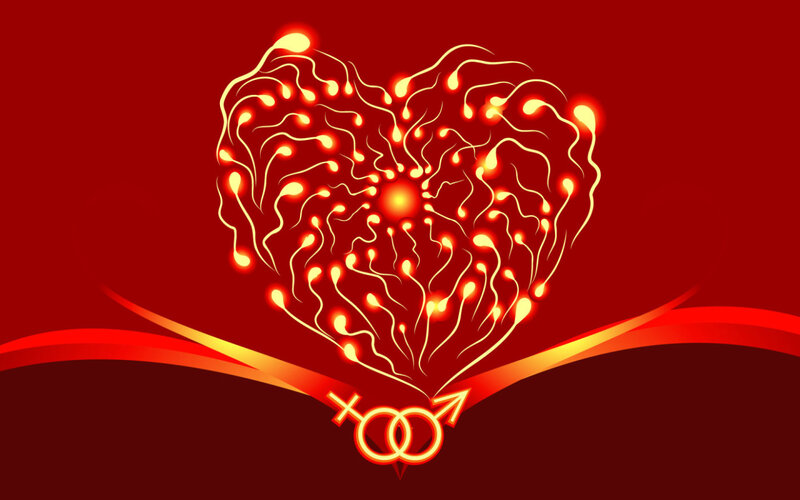heart of sperm cells
