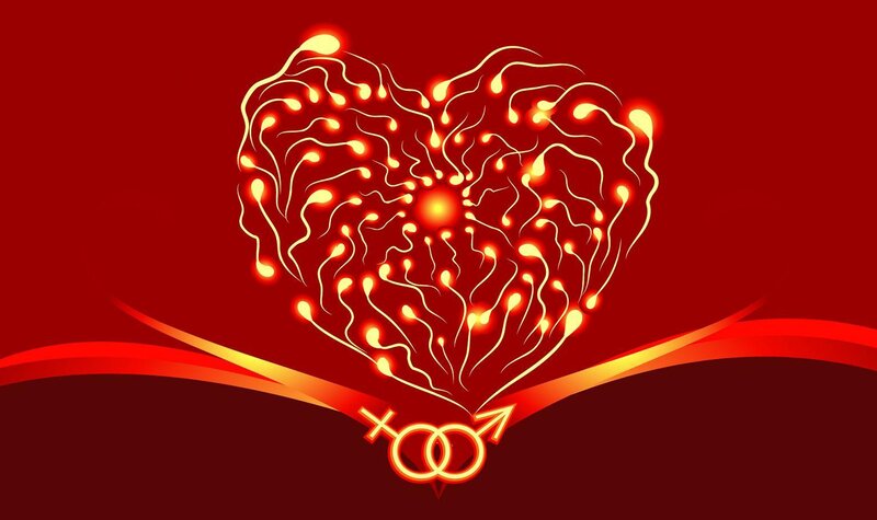 Heart of sperm cells
