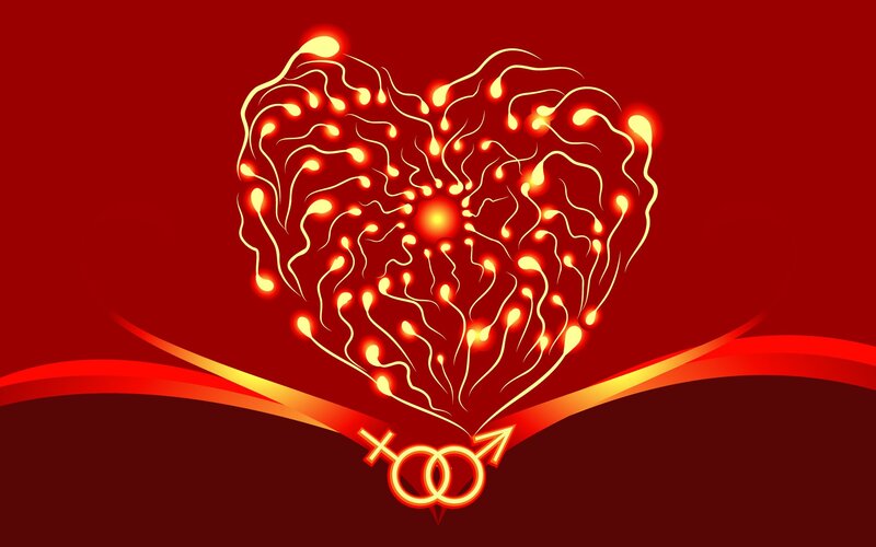 Heart of sperm cells