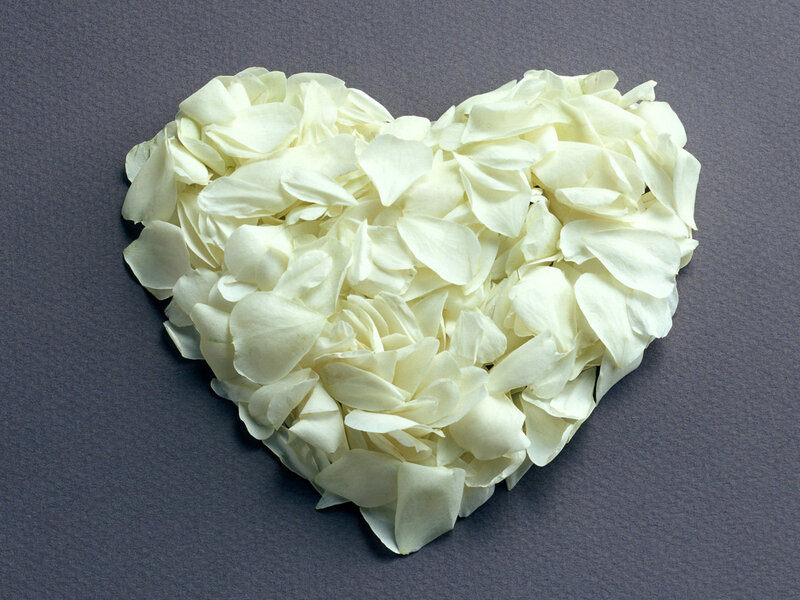 heart of white rose petals