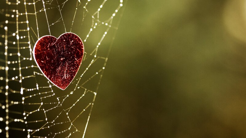 heart on a spider web