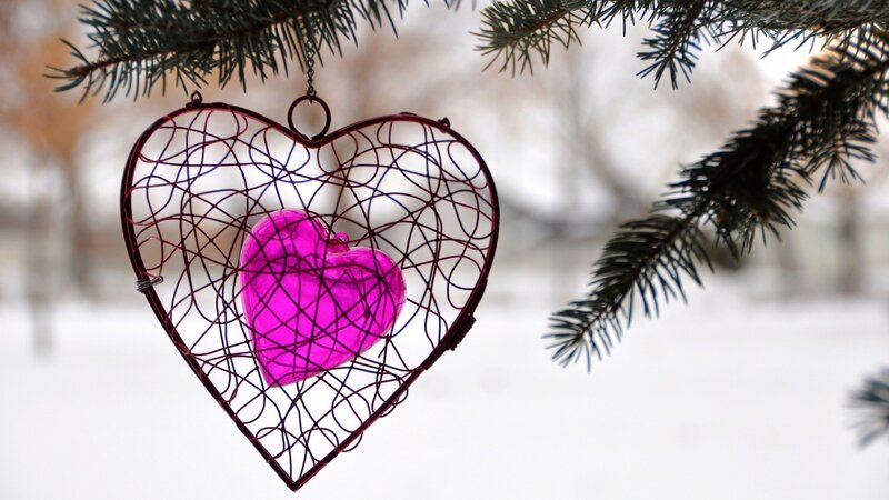 Heart Ornament on Branch — Pink, Serene