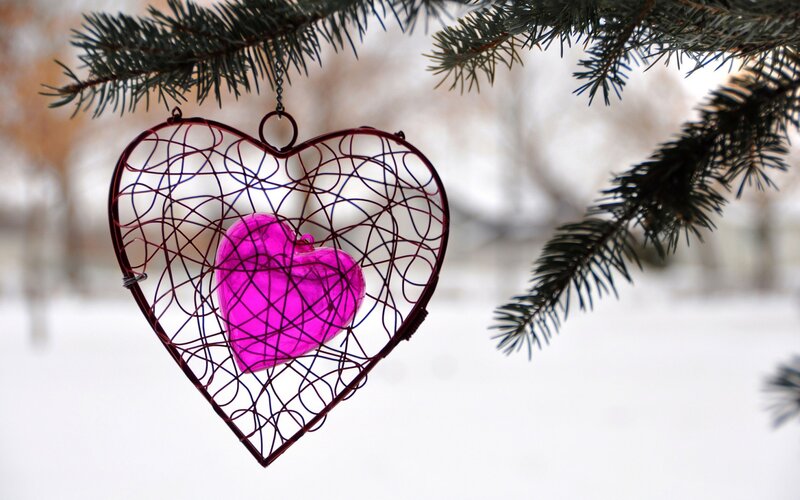 Heart Ornament on Branch — Pink
