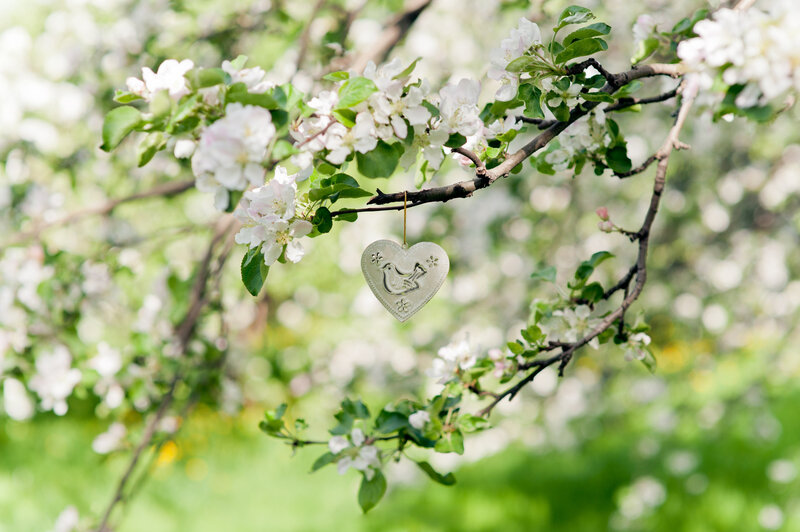 Heart Ornament on Branch
