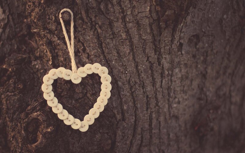 heart ornament on tree bark