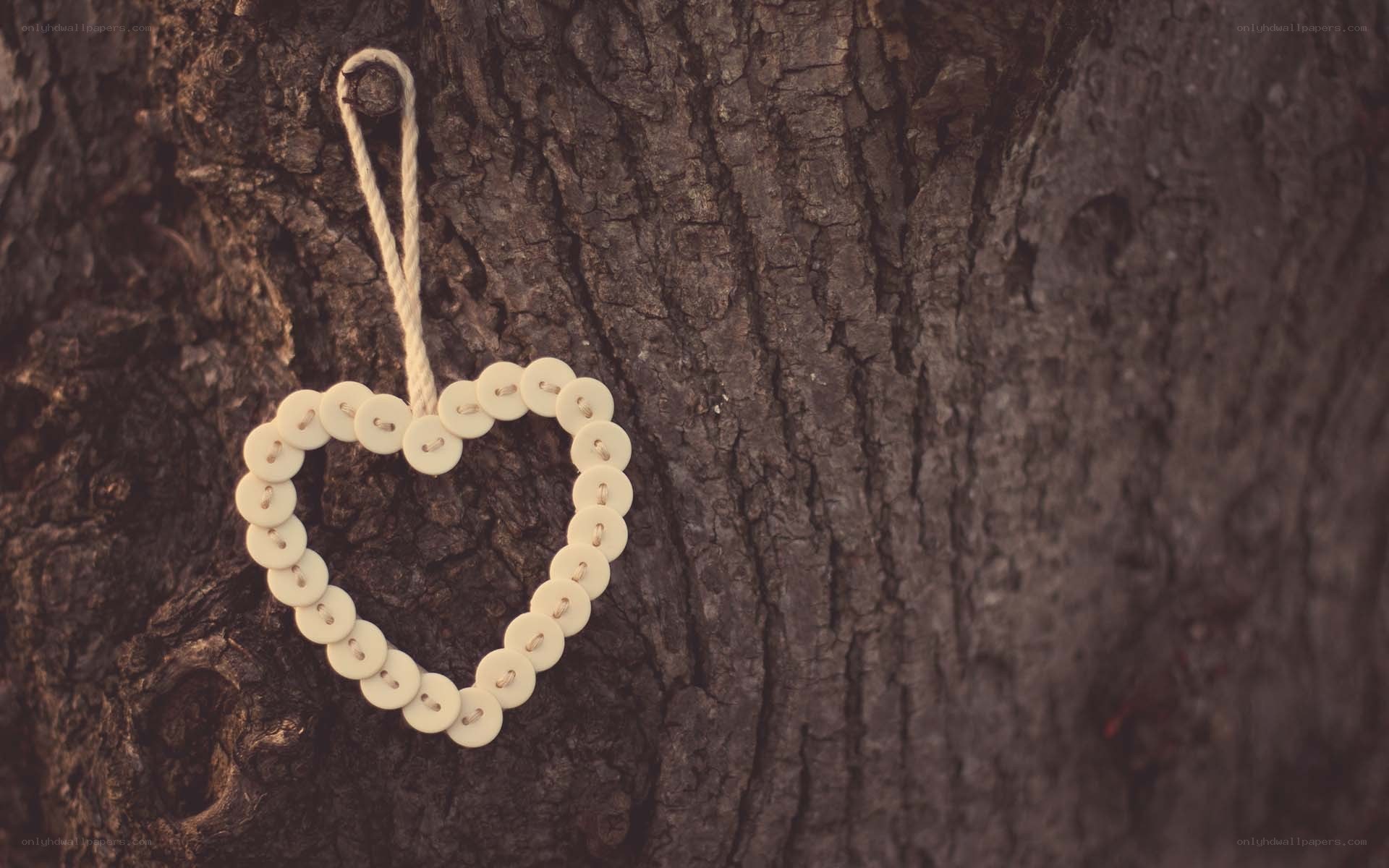heart ornament on tree bark