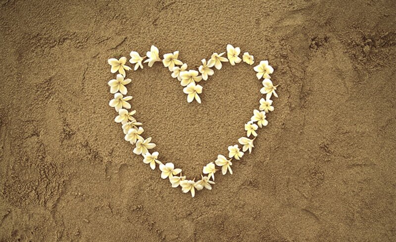 Heart Shape from Flowers