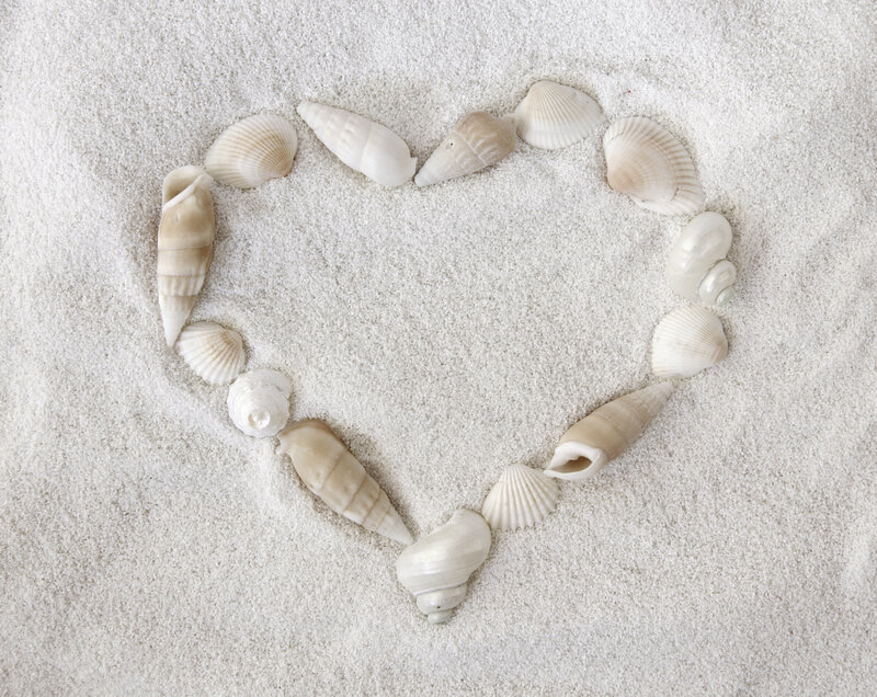 Heart Shape from Seashells