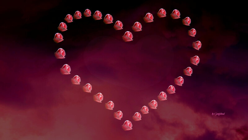 Heart Shape of Rose Petals