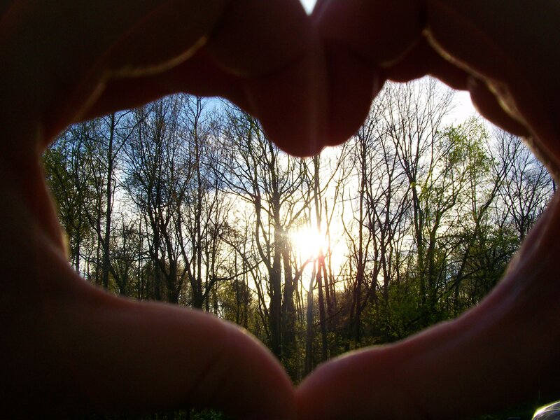 heart shape with forest view