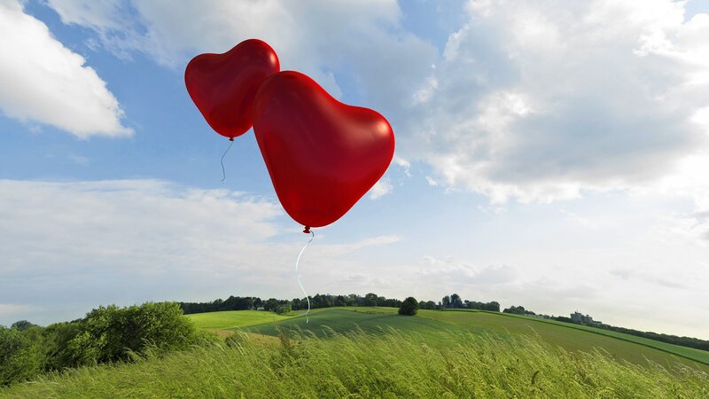Heart-shaped balloons in a field