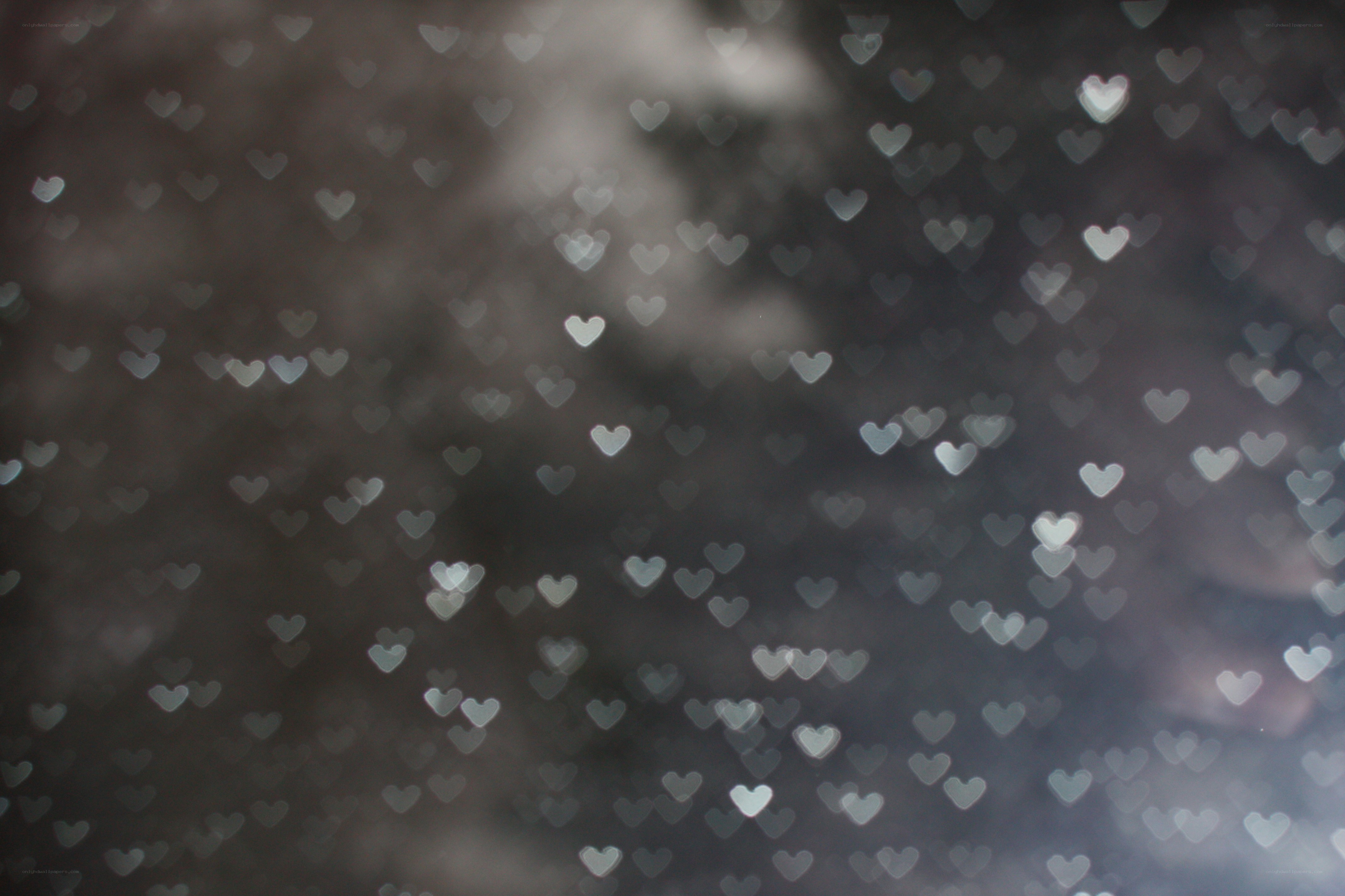 heart-shaped bokeh lights