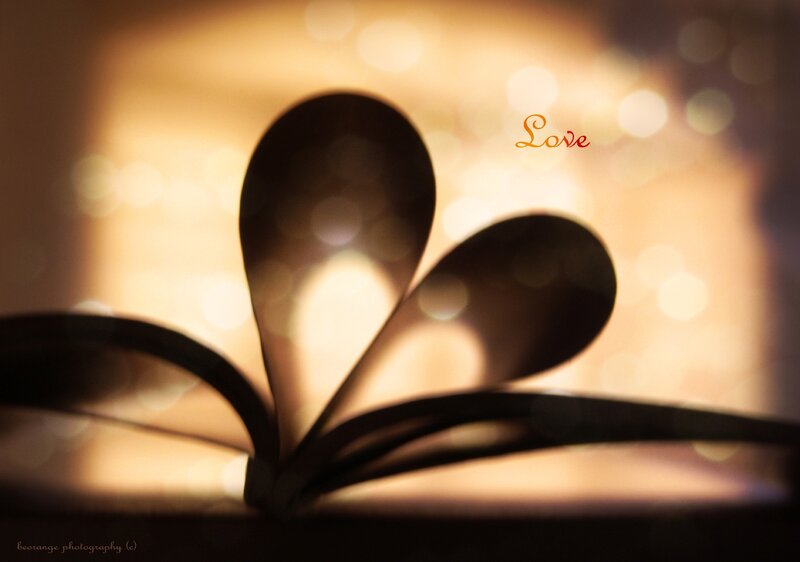 Heart-shaped Book Pages — Brown, Romantic