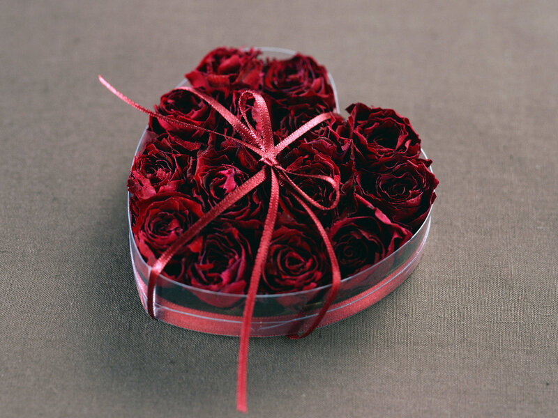 Heart-shaped Box of Roses — Red, Romantic, Photograph, Ribbon