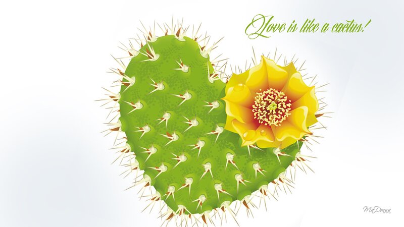 Heart-shaped Cactus