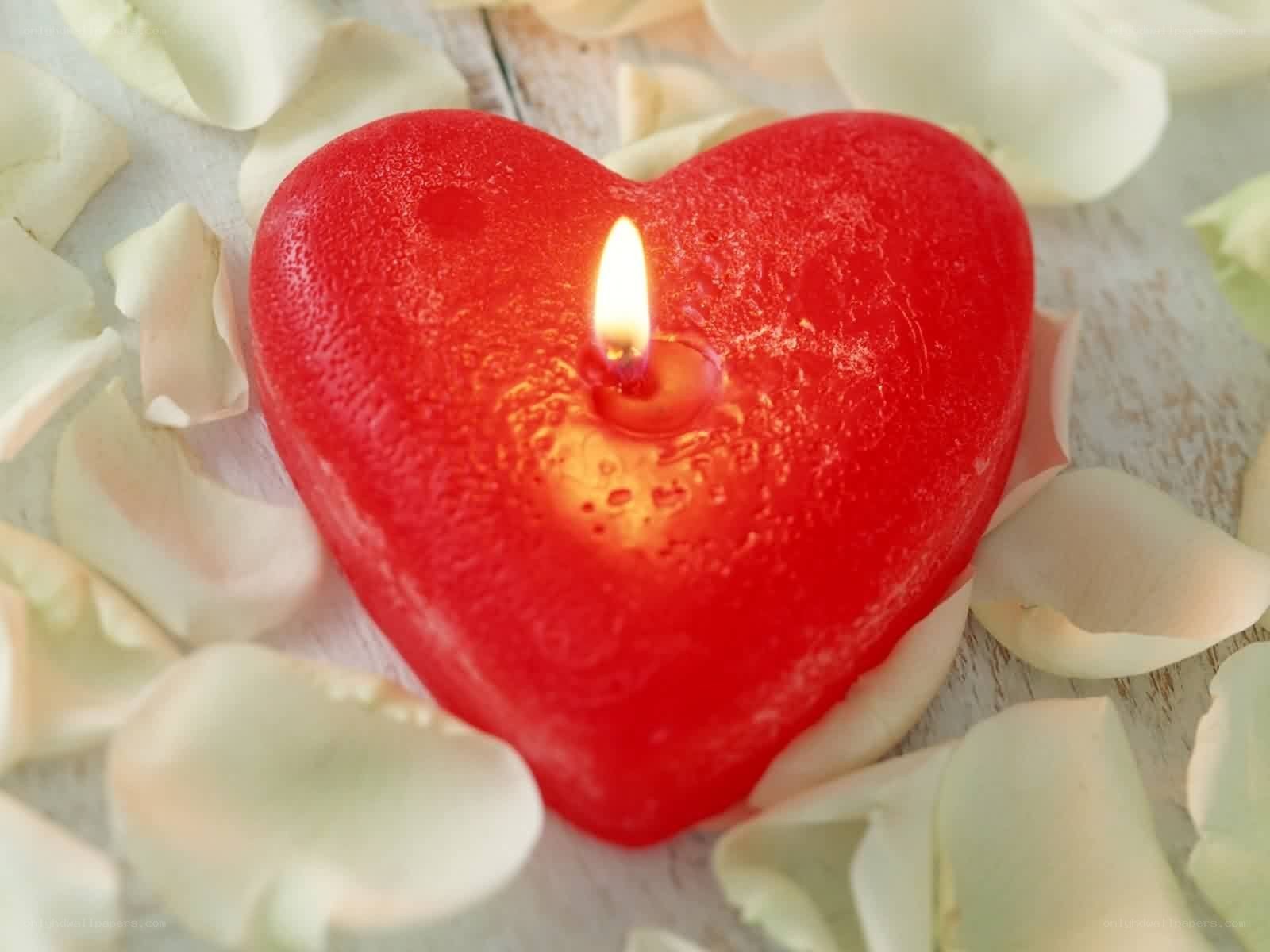 heart-shaped candle with petals