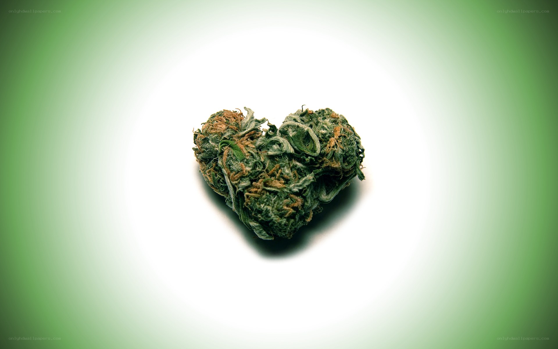 heart-shaped cannabis bud