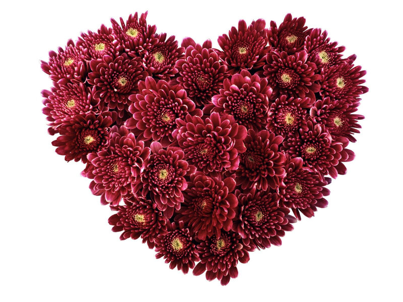 heart-shaped chrysanthemum arrangement