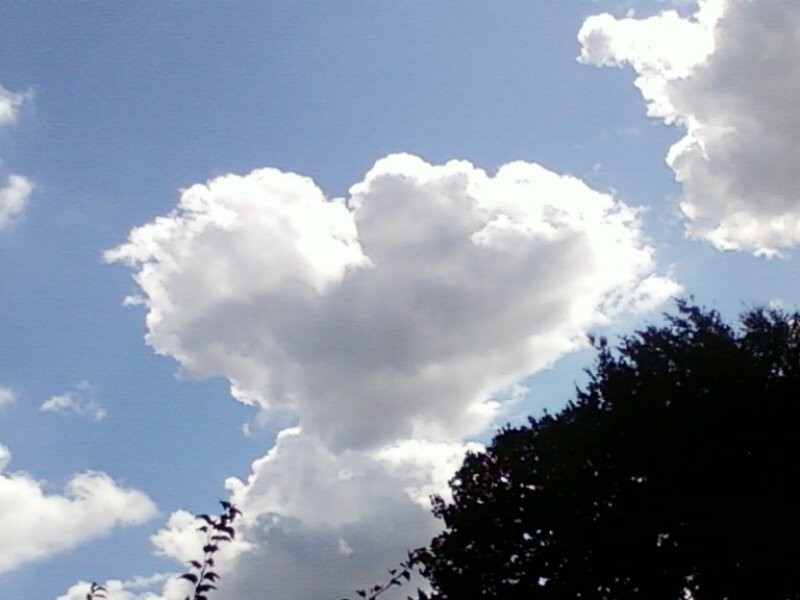 Heart-shaped Cloud — Blue, Serene, Afternoon, Photograph, Sky, Trees