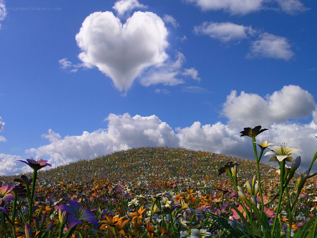 Heart-shaped cloud over flower field