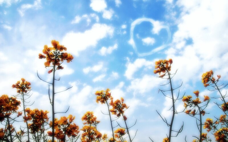heart-shaped cloud over flowers