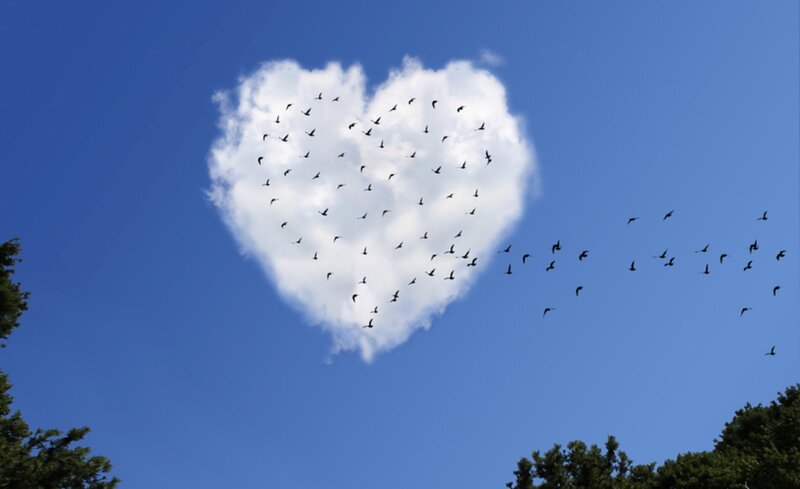 Heart-shaped Cloud with Birds