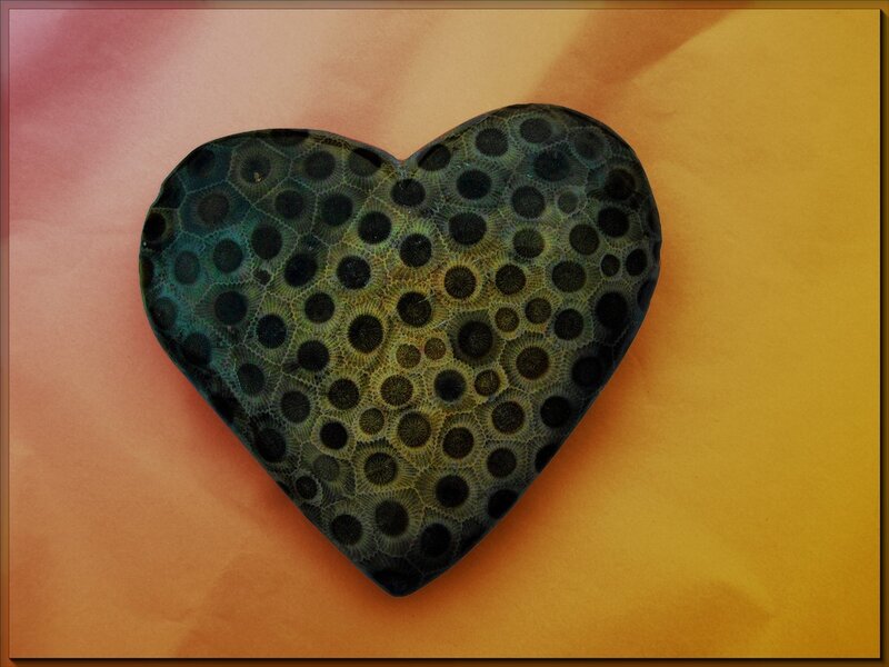 heart-shaped coral fossil