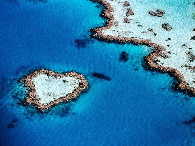 Heart-shaped coral reef