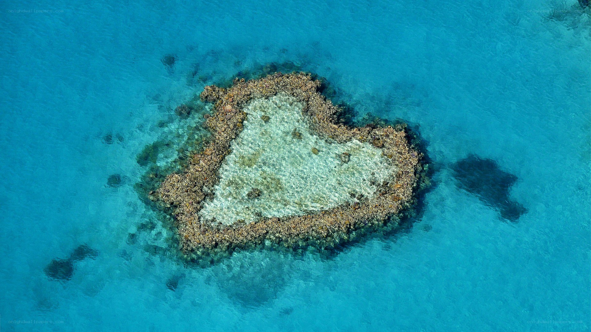 heart-shaped coral reef