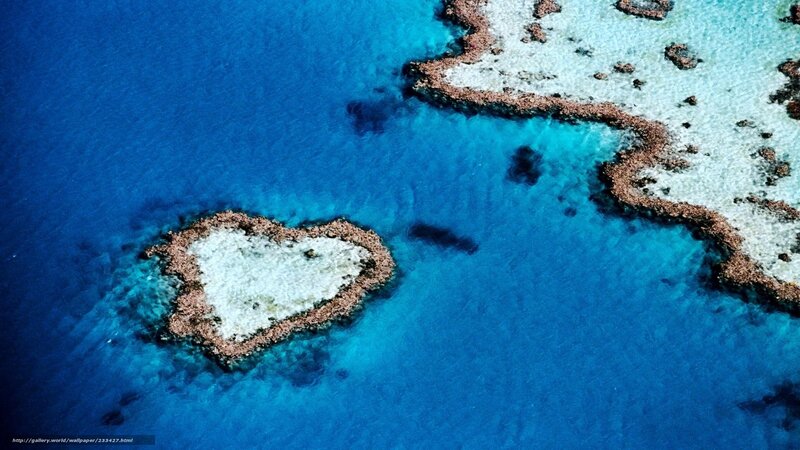 Heart-shaped Coral Reef — Blue, Serene, Afternoon, Photograph