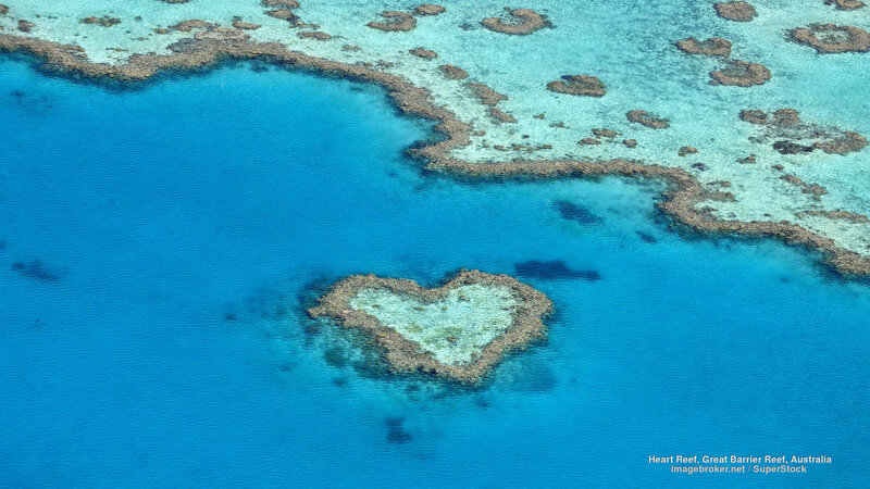 Heart-shaped Coral Reef — Blue, Serene, Afternoon