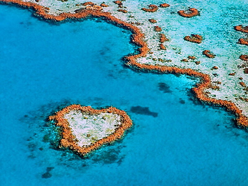 Heart-shaped Coral Reef — Blue, Serene